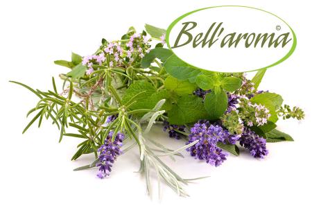 Bell'aroma, marktleider in kruiden, eetbare bloemen, minigroenten en baby leaves