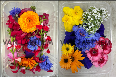 Eetbare bloemen mix 